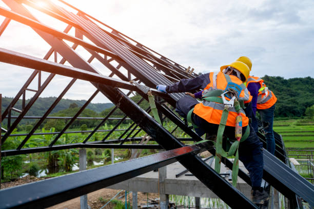 Best Roof Repair Services  in Dekal, IL