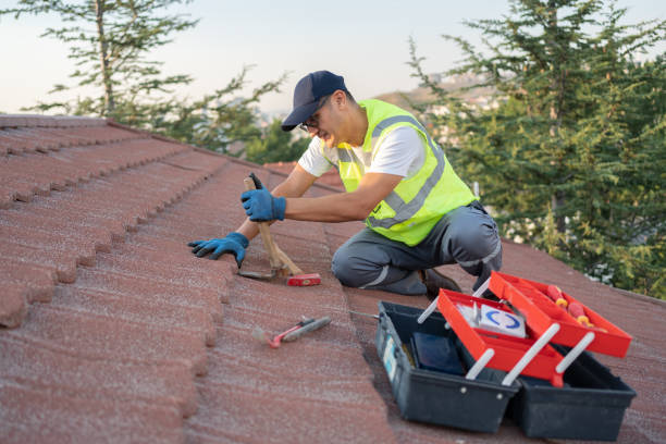 Best Roof Waterproofing Services  in Dekal, IL
